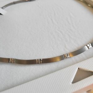 Elegant Titanium Necklace